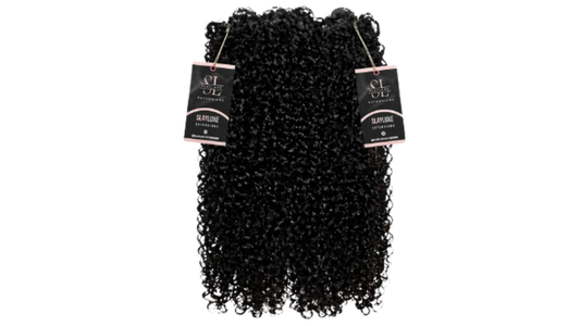 Burmese Curly